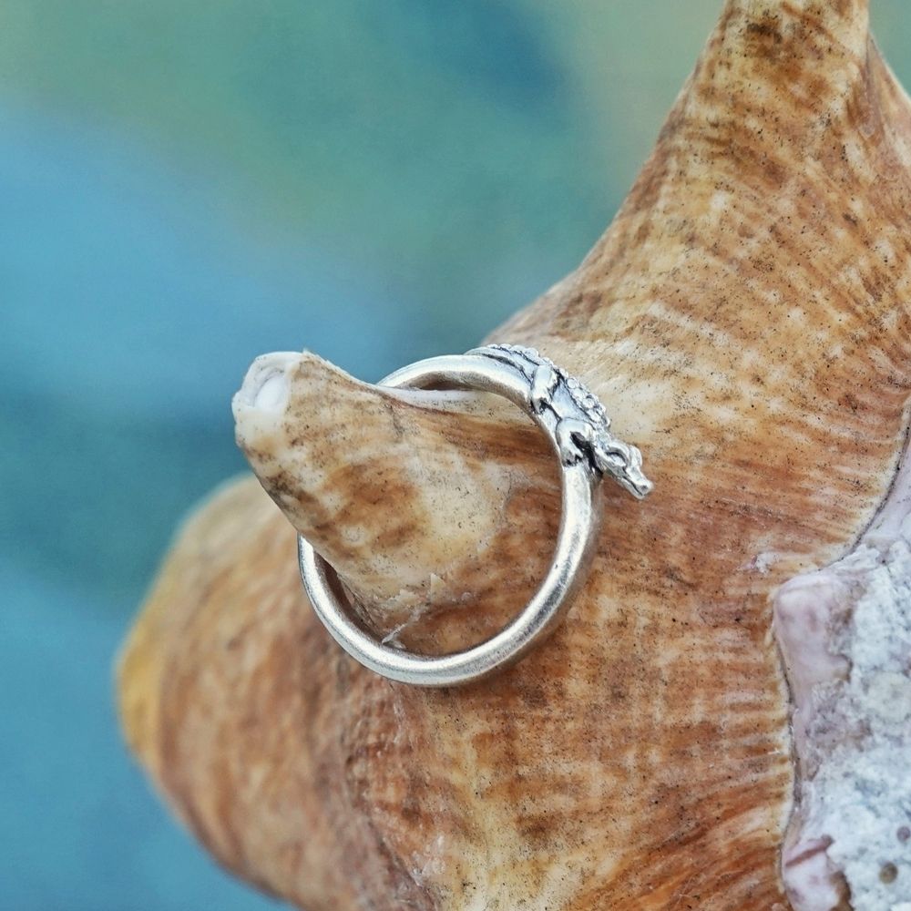 A silver ring with a detailed alligator wrapping around the band, displayed on a brown seashell with a blurred blue-green background.