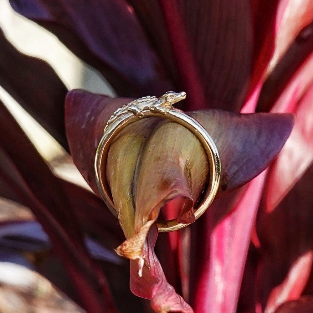 Sunning Alligator, 14K gold