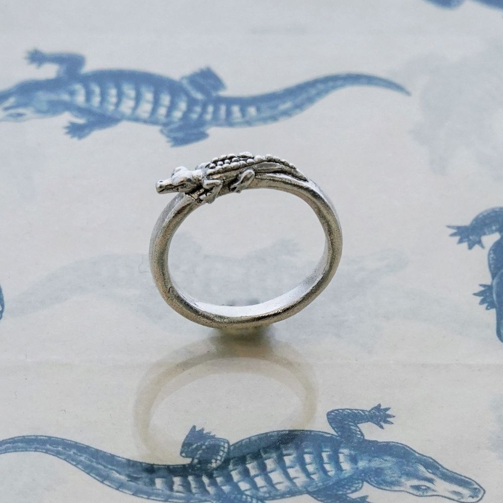 Sunning Alligator, silver